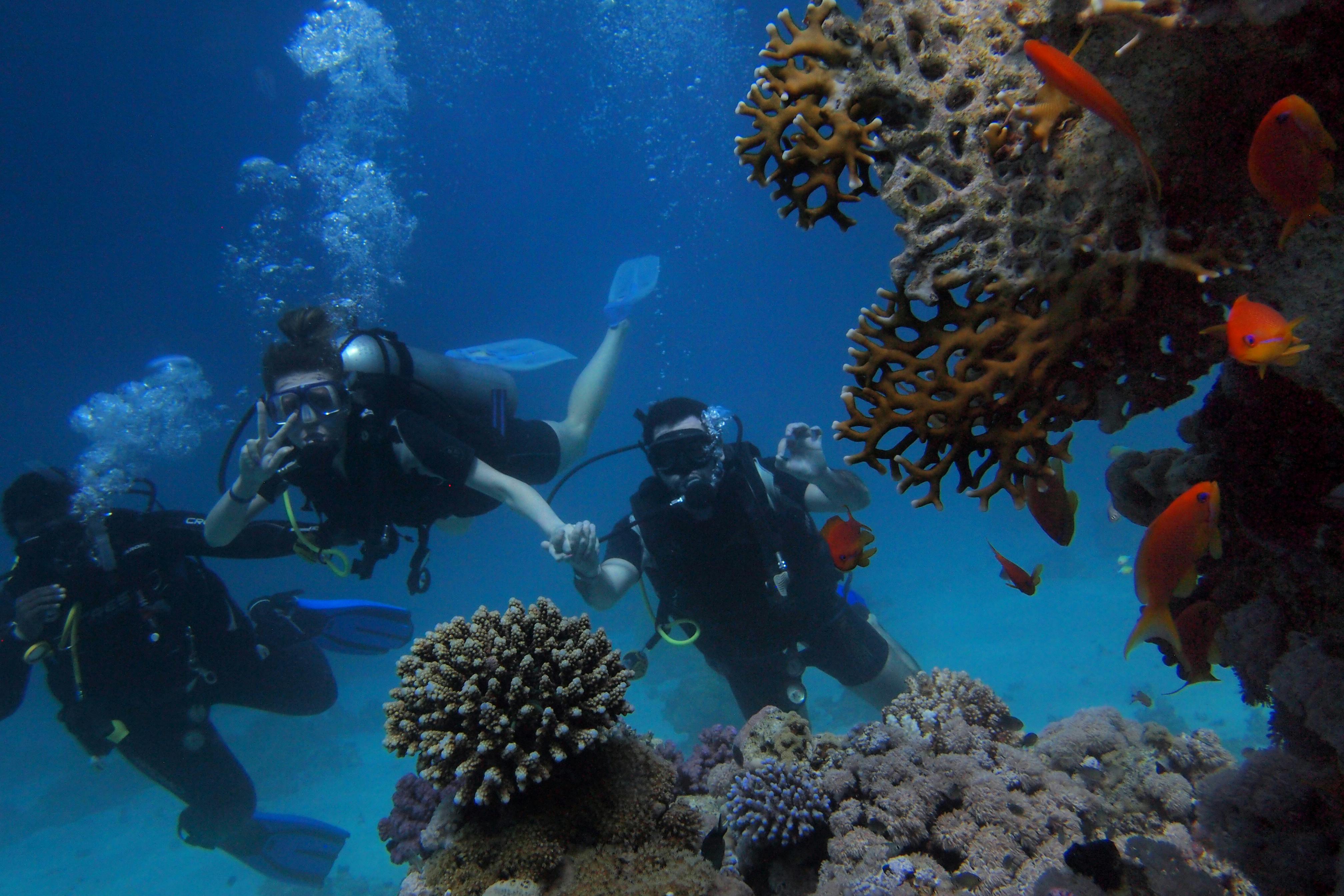 scuba divers too close to coral